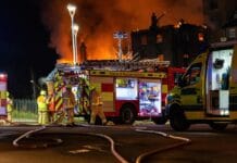 Jak działa policja w Norwegii, a jak w Polsce? Porównanie systemów